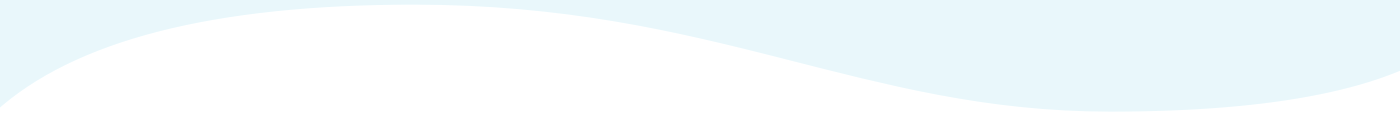 Section Footer Border