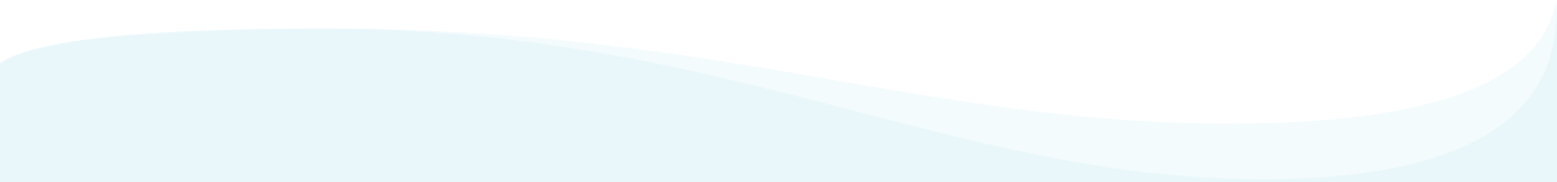 Section Header Border